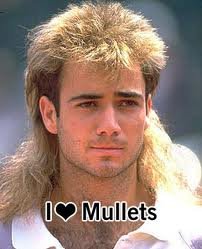 http://www.evilenglish.net/wp-content/uploads/2014/06/mullet1.jpg