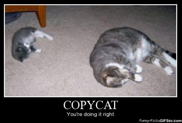 copycat.jpg