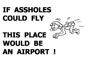 if-assholes-arseholes-could-fly-this-place-would-b1