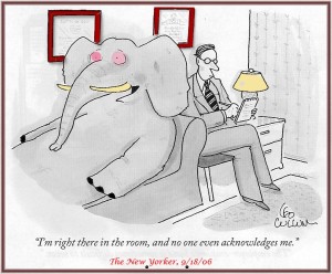 Elephant-in-the-room-1