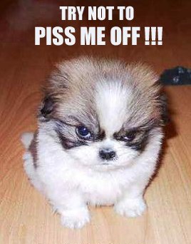 would you Martha maccallum upskirt commit error. Let's