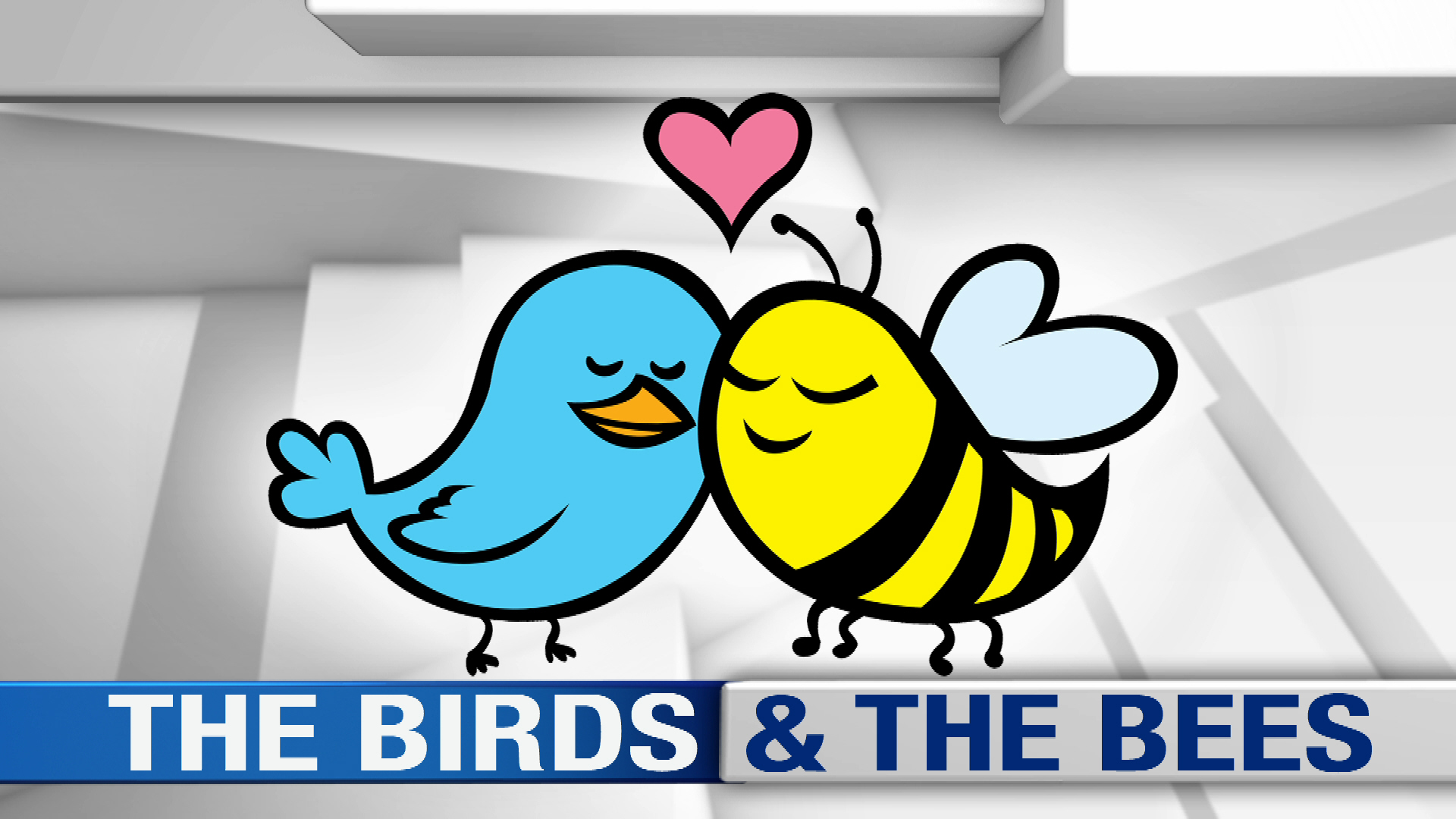 birds-and-the-bees