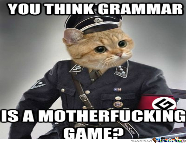 grammar-nazi-cat_o_1962883